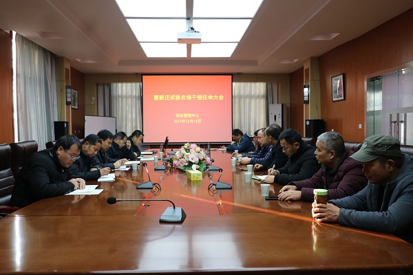 会议现场.JPG